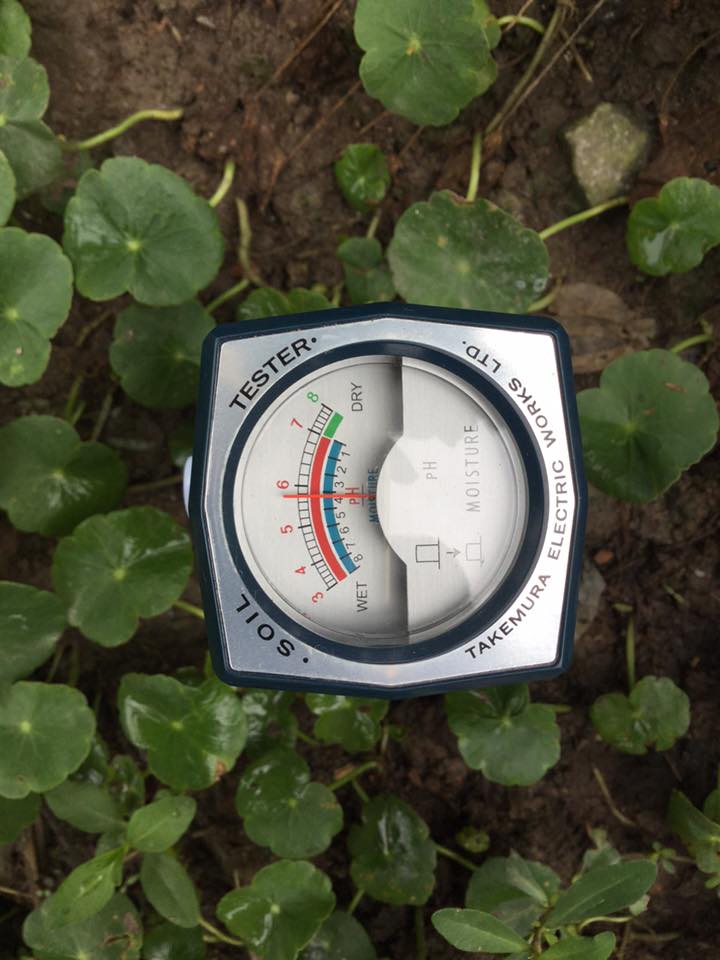 Bút đo pH đất - DM15